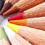 5 Ideas for Great Indoor Macro Photography
