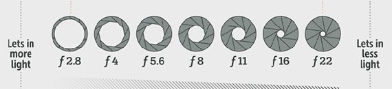 The Manual Photographer’s Cheat Sheet