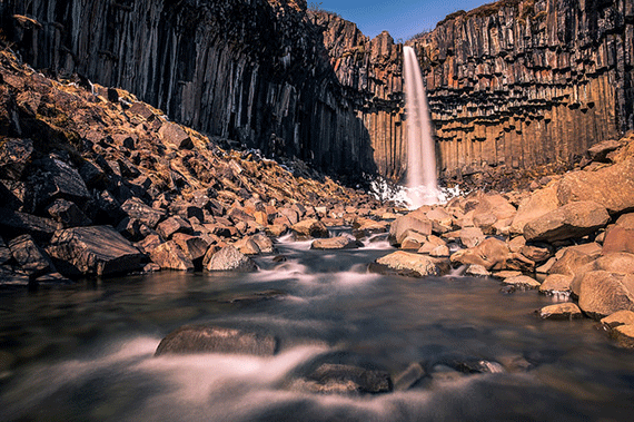 nature photography for beginners