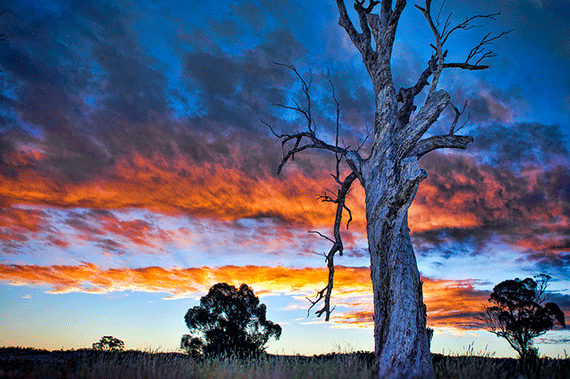 respecting mother nature while photographing