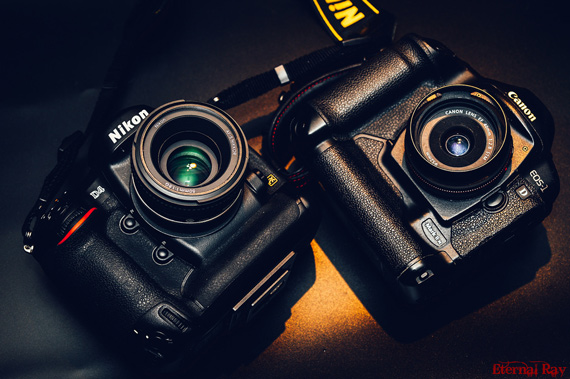 nikon and canon cameras