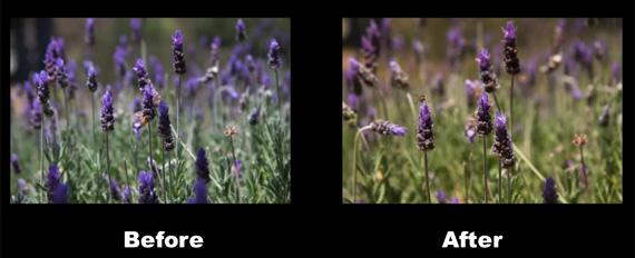 before and after custom white balance