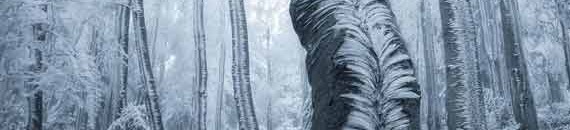 Interesting Photo of the Day: Mysterious Frost Patterns