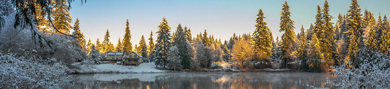 These Photos of Snowy Winter Scenes Will Take Your Breath Away