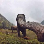 Interesting Photo of the Day: Elephant Reaches for Photographer’s Camera