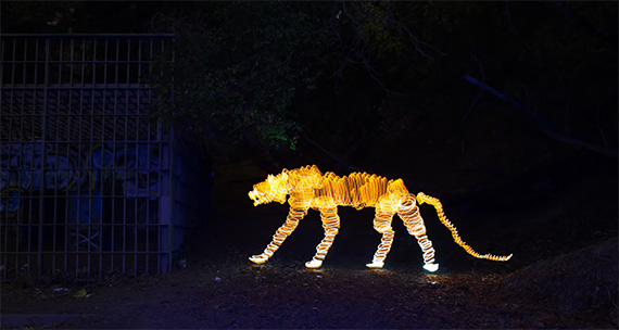 light painting a tiger