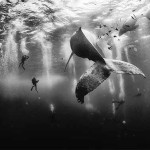 This Year’s National Geographic Traveler Photo Contest Winner is Nothing Less Than Stunning