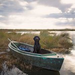 Interesting Photo of the Day: Hunting Dog in a Canoe