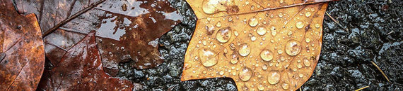 Tips for Photographing Autumn Colors