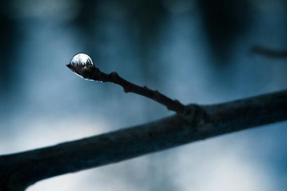 Photographing the Micro Landscape