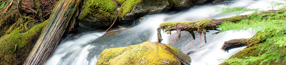 Waterfall Photos: 10 Tips for Photographing Water