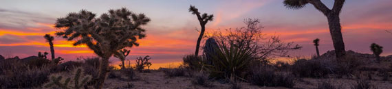 North American Landscape Timelapse Photography