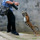 Interesting Photo of the Day: Fierce Baby Tiger Attacks Photographer