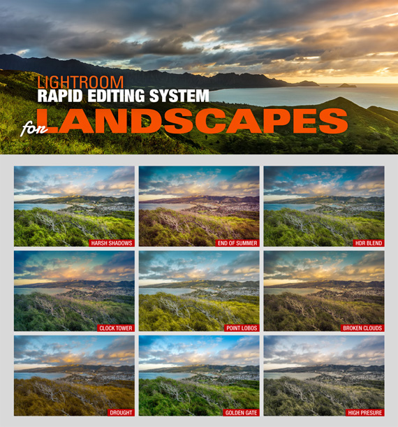landscape editing system