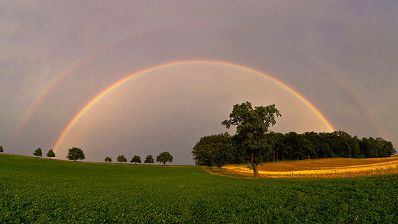 make your photographs better than the others