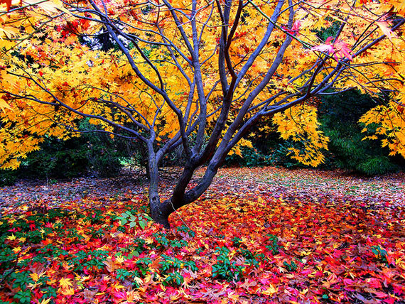 how to take great fall photos