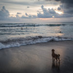 Capturing Landscape Photos with Character
