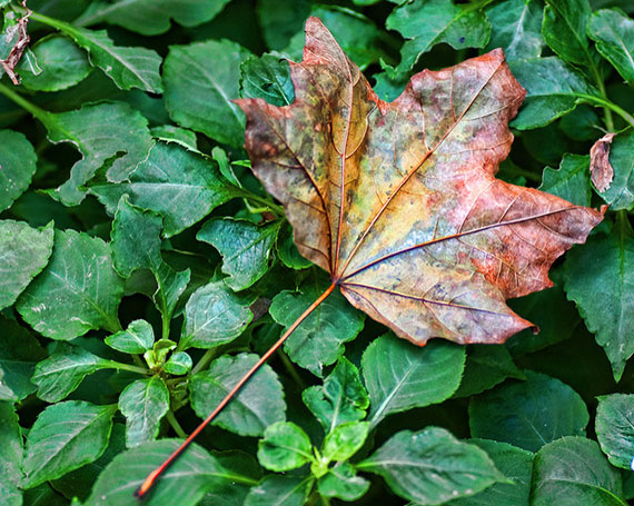 photography rule of thirds