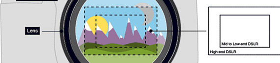 The Ultimate Guide to Crop Factor