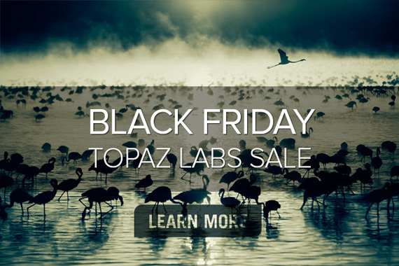 topaz black friday