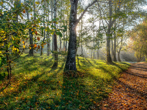 taking photos with natural light