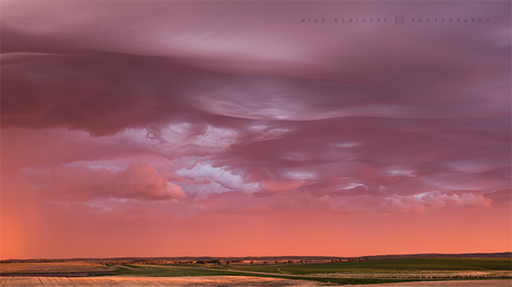 Undulatus asperatus at sunset