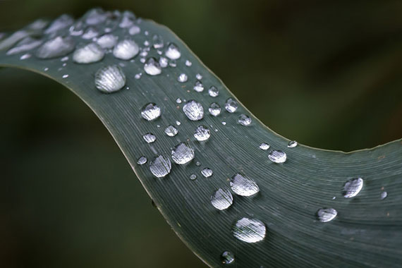 ways to get a shallow depth of field in photos