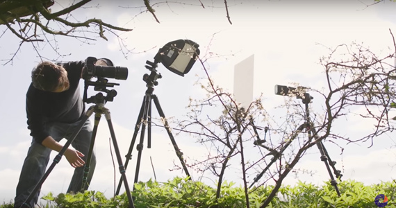 Setting up a macro studio in nature