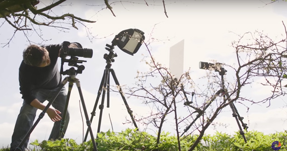 Setting up a macro studio in nature