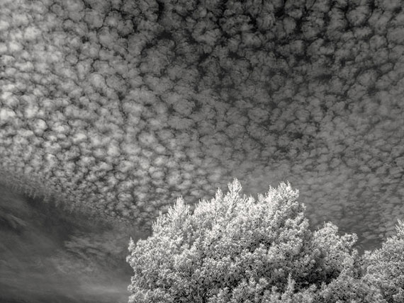 altocumulus clouds