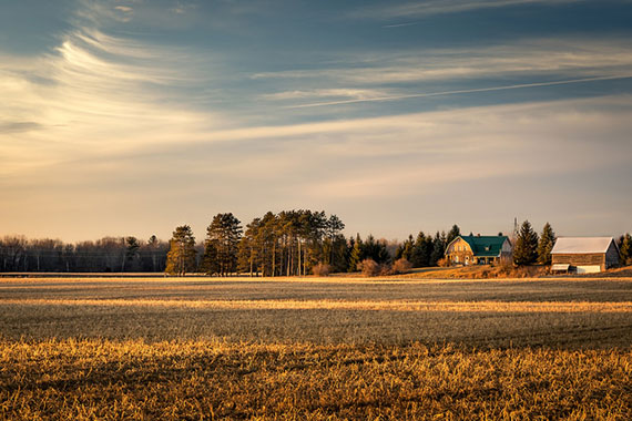 cirrus clouds