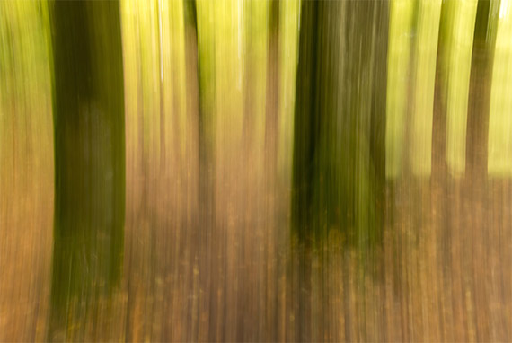 intentional camera movement technique