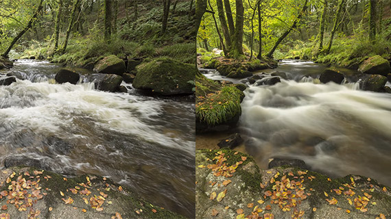 photographing woodlands on an overcast day