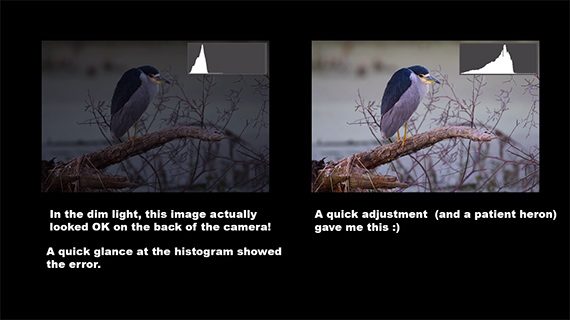 importance of histograms in photography