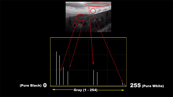 importance of histograms in photography