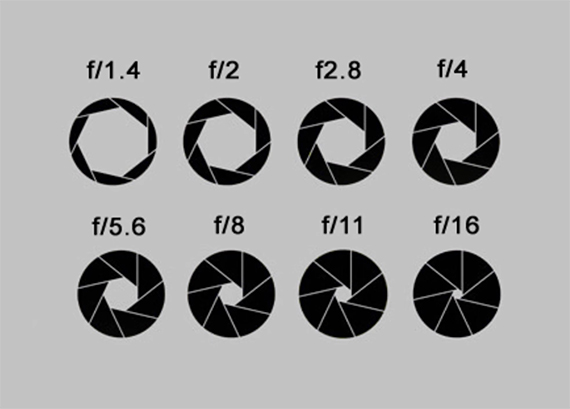 tips for beginning photographers
