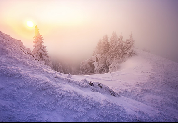 morning winter light