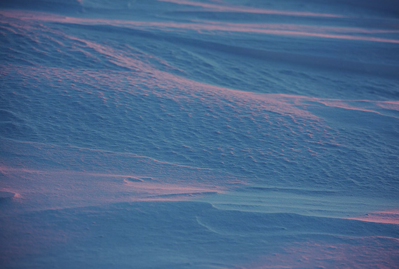 lines in the snow