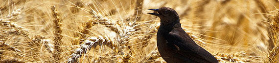 9 Sources of Inspiration for Photography