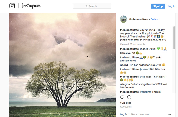 The Broccoli Tree on Instagram