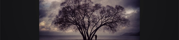 A Photographer’s Parable of the Broccoli Tree