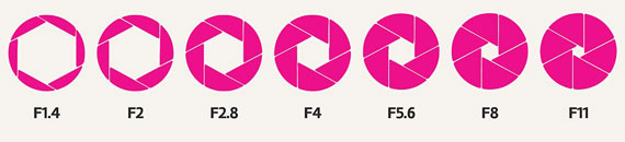 Infographic of Critical Photography Concepts