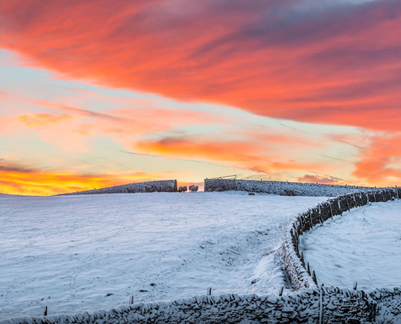 tips to improve landscape composition photography