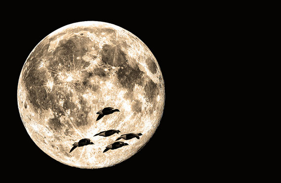 moon photo techniques