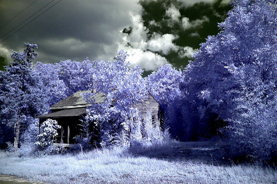 infrared photo techniques