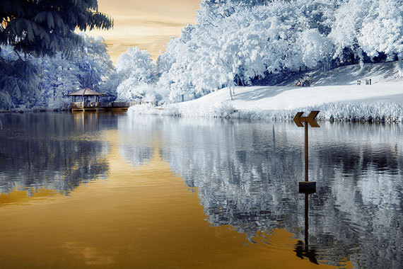 best infrared photo tips