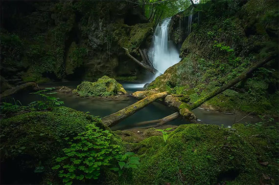 forest waterfall photo