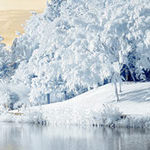 Infrared Photography: Tips on How to Get Started