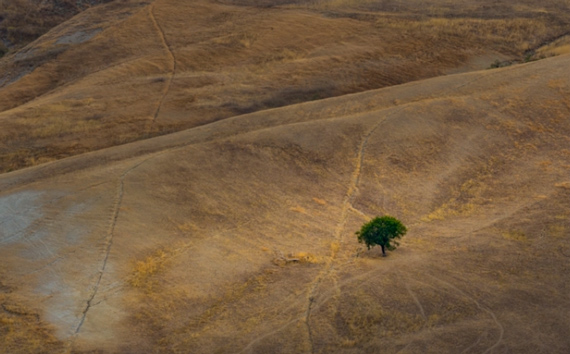 negative space in landscape photography