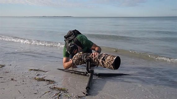 bird photography point of view